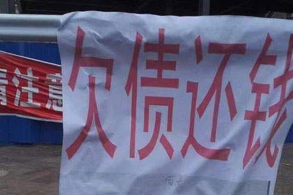 宁阳追数公司